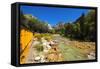 Railroad on the Animas River, San Juan National Forest, Colorado, USA-Russ Bishop-Framed Stretched Canvas