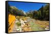 Railroad on the Animas River, San Juan National Forest, Colorado, USA-Russ Bishop-Framed Stretched Canvas