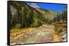 Railroad on the Animas River, San Juan National Forest, Colorado, USA-Russ Bishop-Framed Stretched Canvas