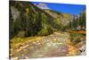 Railroad on the Animas River, San Juan National Forest, Colorado, USA-Russ Bishop-Stretched Canvas