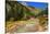 Railroad on the Animas River, San Juan National Forest, Colorado, USA-Russ Bishop-Stretched Canvas