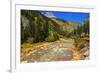 Railroad on the Animas River, San Juan National Forest, Colorado, USA-Russ Bishop-Framed Premium Photographic Print