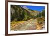 Railroad on the Animas River, San Juan National Forest, Colorado, USA-Russ Bishop-Framed Premium Photographic Print