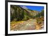 Railroad on the Animas River, San Juan National Forest, Colorado, USA-Russ Bishop-Framed Premium Photographic Print