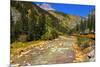 Railroad on the Animas River, San Juan National Forest, Colorado, USA-Russ Bishop-Mounted Premium Photographic Print