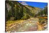 Railroad on the Animas River, San Juan National Forest, Colorado, USA-Russ Bishop-Stretched Canvas