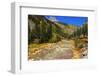 Railroad on the Animas River, San Juan National Forest, Colorado, USA-Russ Bishop-Framed Photographic Print