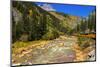 Railroad on the Animas River, San Juan National Forest, Colorado, USA-Russ Bishop-Mounted Photographic Print