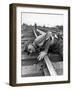 Railroad Section Boss D. D. Pittman Checking to Make Sure New Rail is properly level-Alfred Eisenstaedt-Framed Photographic Print