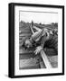 Railroad Section Boss D. D. Pittman Checking to Make Sure New Rail is properly level-Alfred Eisenstaedt-Framed Photographic Print