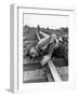 Railroad Section Boss D. D. Pittman Checking to Make Sure New Rail is properly level-Alfred Eisenstaedt-Framed Photographic Print