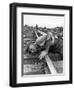 Railroad Section Boss D. D. Pittman Checking to Make Sure New Rail is properly level-Alfred Eisenstaedt-Framed Photographic Print