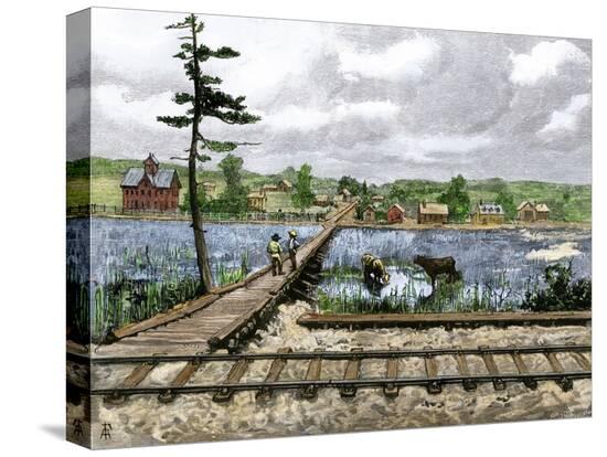 Stretched Canvas Print, , large