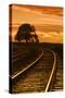 Railroad Sunset II-Vincent James-Stretched Canvas