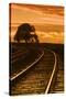 Railroad Sunset II-Vincent James-Stretched Canvas