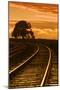 Railroad Sunset II-Vincent James-Mounted Photographic Print