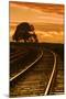 Railroad Sunset II-Vincent James-Mounted Photographic Print