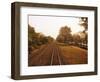 Railroad Track, Bangkok, Thailand-null-Framed Photographic Print