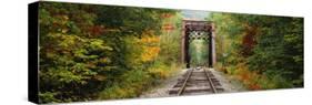 Railroad Track Passing Through a Forest, White Mountain National Forest, New Hampshire, USA-null-Stretched Canvas