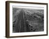 Railroad Tracks, 1939-Dorothea Lange-Framed Giclee Print