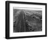 Railroad Tracks, 1939-Dorothea Lange-Framed Giclee Print