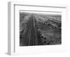 Railroad Tracks, 1939-Dorothea Lange-Framed Giclee Print