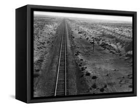 Railroad Tracks, 1939-Dorothea Lange-Framed Stretched Canvas