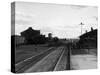 Railroad Tracks at Othello, WA, 1911-Asahel Curtis-Stretched Canvas