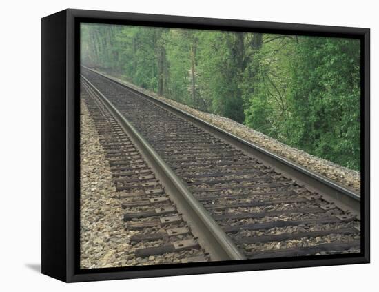 Railroad Tracks, Kentucky, USA-Adam Jones-Framed Stretched Canvas