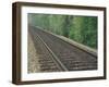 Railroad Tracks, Kentucky, USA-Adam Jones-Framed Photographic Print