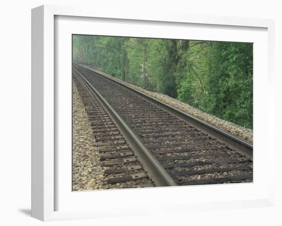 Railroad Tracks, Kentucky, USA-Adam Jones-Framed Photographic Print