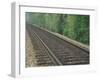 Railroad Tracks, Kentucky, USA-Adam Jones-Framed Photographic Print