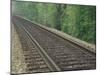 Railroad Tracks, Kentucky, USA-Adam Jones-Mounted Photographic Print