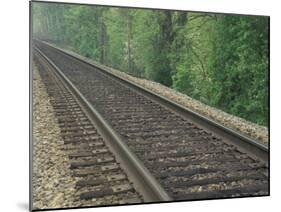 Railroad Tracks, Kentucky, USA-Adam Jones-Mounted Photographic Print