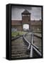 Railroad Tracks Leading into KL Auschwitz II-Jon Hicks-Framed Stretched Canvas