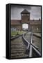 Railroad Tracks Leading into KL Auschwitz II-Jon Hicks-Framed Stretched Canvas