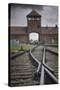Railroad Tracks Leading into KL Auschwitz II-Jon Hicks-Stretched Canvas