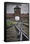 Railroad Tracks Leading into KL Auschwitz II-Jon Hicks-Framed Stretched Canvas