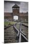 Railroad Tracks Leading into KL Auschwitz II-Jon Hicks-Mounted Premium Photographic Print