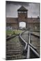Railroad Tracks Leading into KL Auschwitz II-Jon Hicks-Mounted Photographic Print