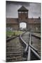 Railroad Tracks Leading into KL Auschwitz II-Jon Hicks-Mounted Photographic Print