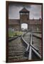 Railroad Tracks Leading into KL Auschwitz II-Jon Hicks-Framed Photographic Print