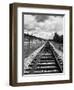 Railroad Tracks Stretching into the Distance-Philip Gendreau-Framed Photographic Print