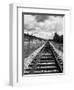 Railroad Tracks Stretching into the Distance-Philip Gendreau-Framed Photographic Print