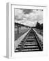 Railroad Tracks Stretching into the Distance-Philip Gendreau-Framed Photographic Print