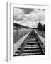 Railroad Tracks Stretching into the Distance-Philip Gendreau-Framed Photographic Print