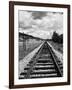 Railroad Tracks Stretching into the Distance-Philip Gendreau-Framed Photographic Print