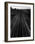 Railroad Tracks-Andreas Feininger-Framed Photographic Print