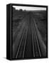 Railroad Tracks-Andreas Feininger-Framed Stretched Canvas