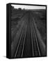 Railroad Tracks-Andreas Feininger-Framed Stretched Canvas